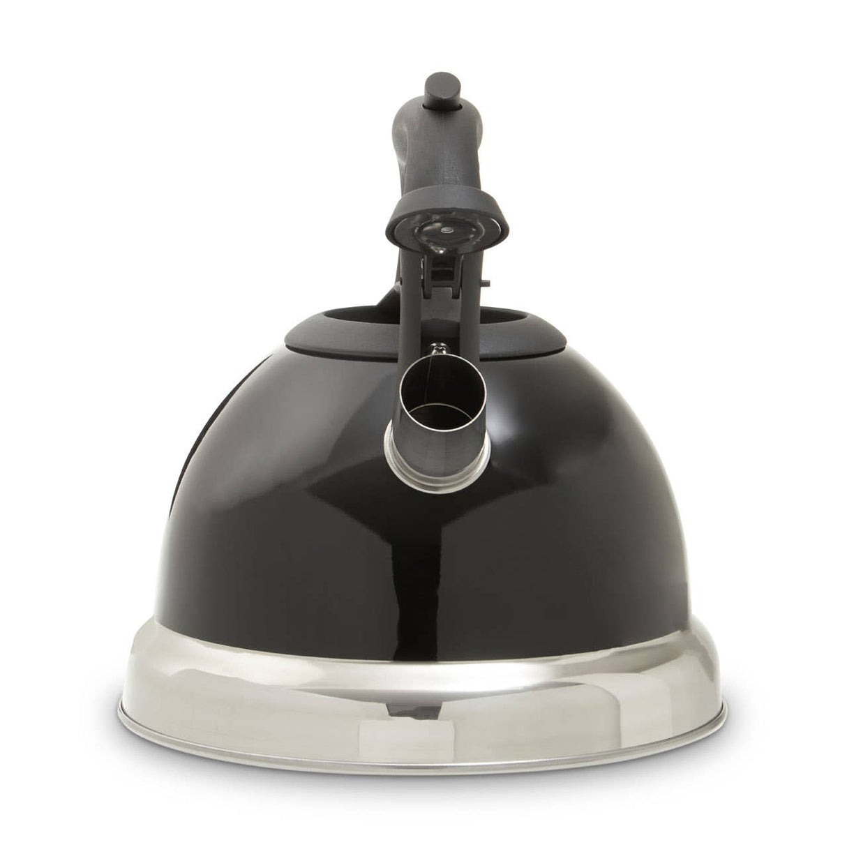 Blue 3000ml Whistling Kettle