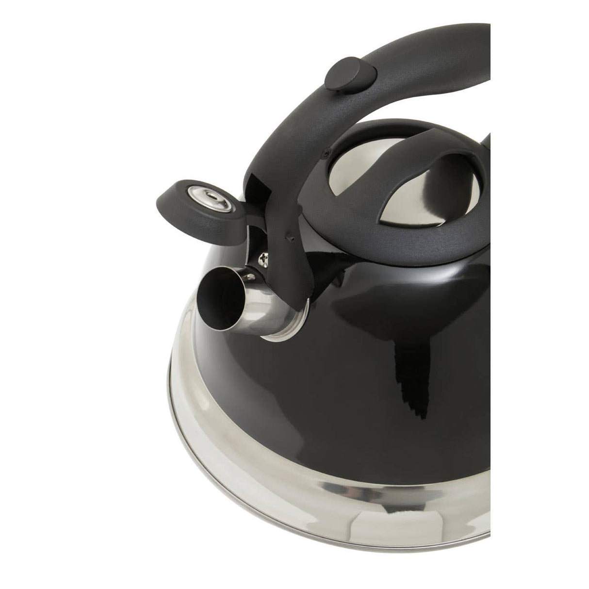 Blue 3000ml Whistling Kettle
