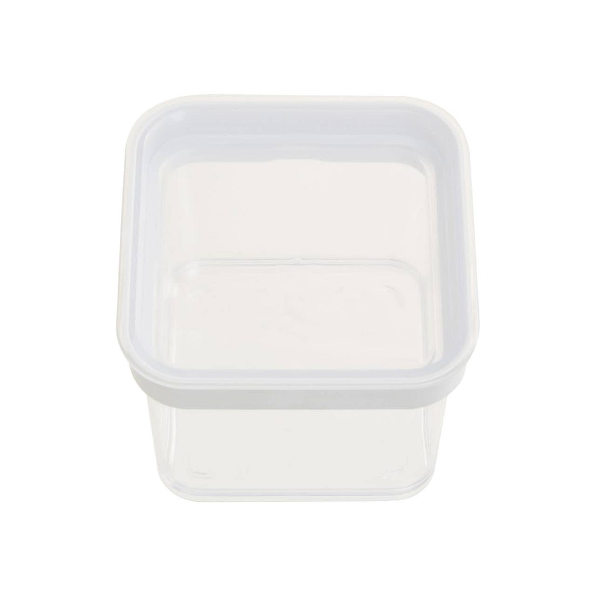 Grub Tub Clear Storage Container