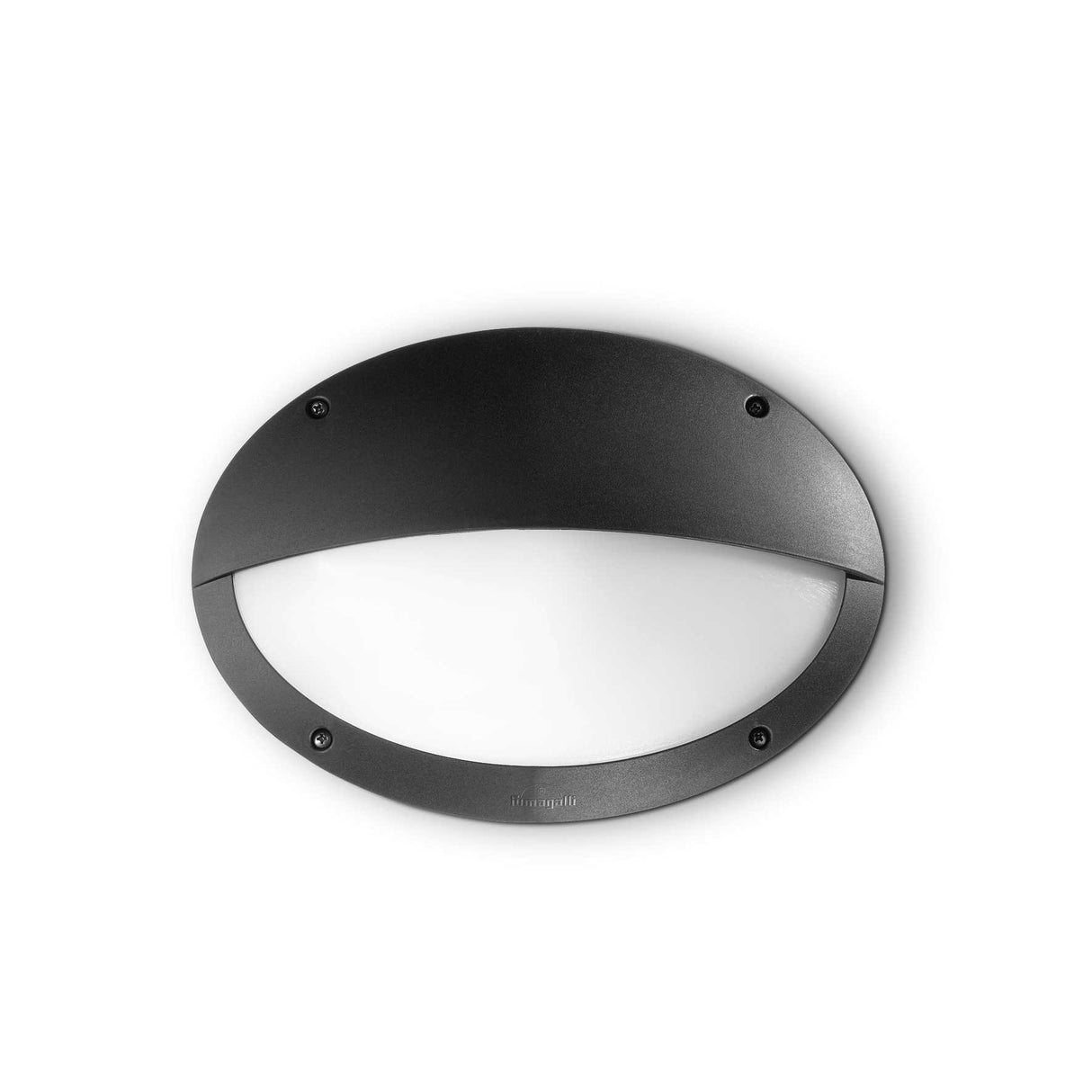 Maddi Black Oval Wall Bulkhead Outdoor Lamp with Eyelid Design