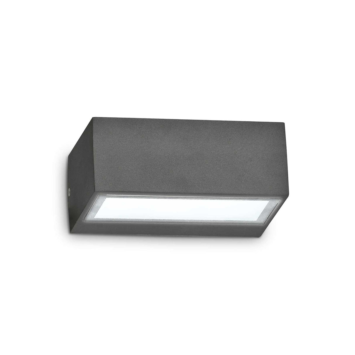 Anthracite Twin Wall Sconce