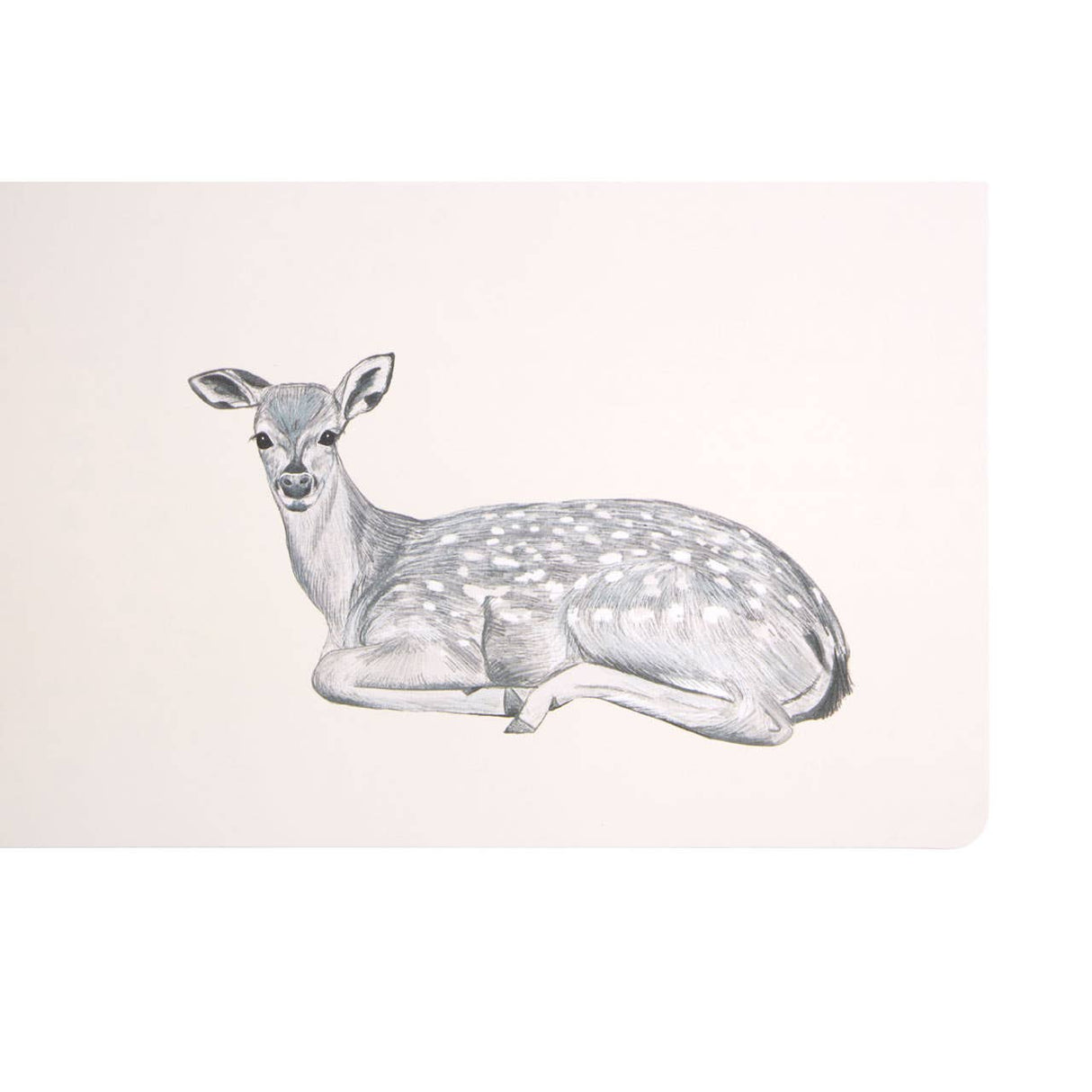 Set Of 2 Mini Forest Placemats & Coasters