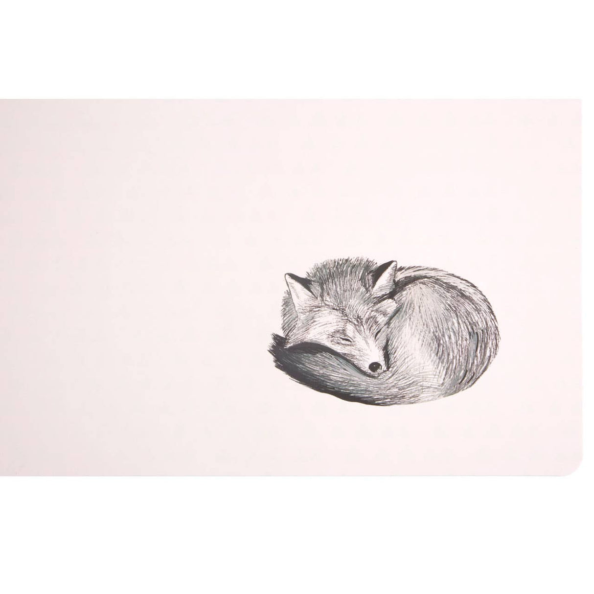 Set Of 2 Mini Forest Placemats & Coasters