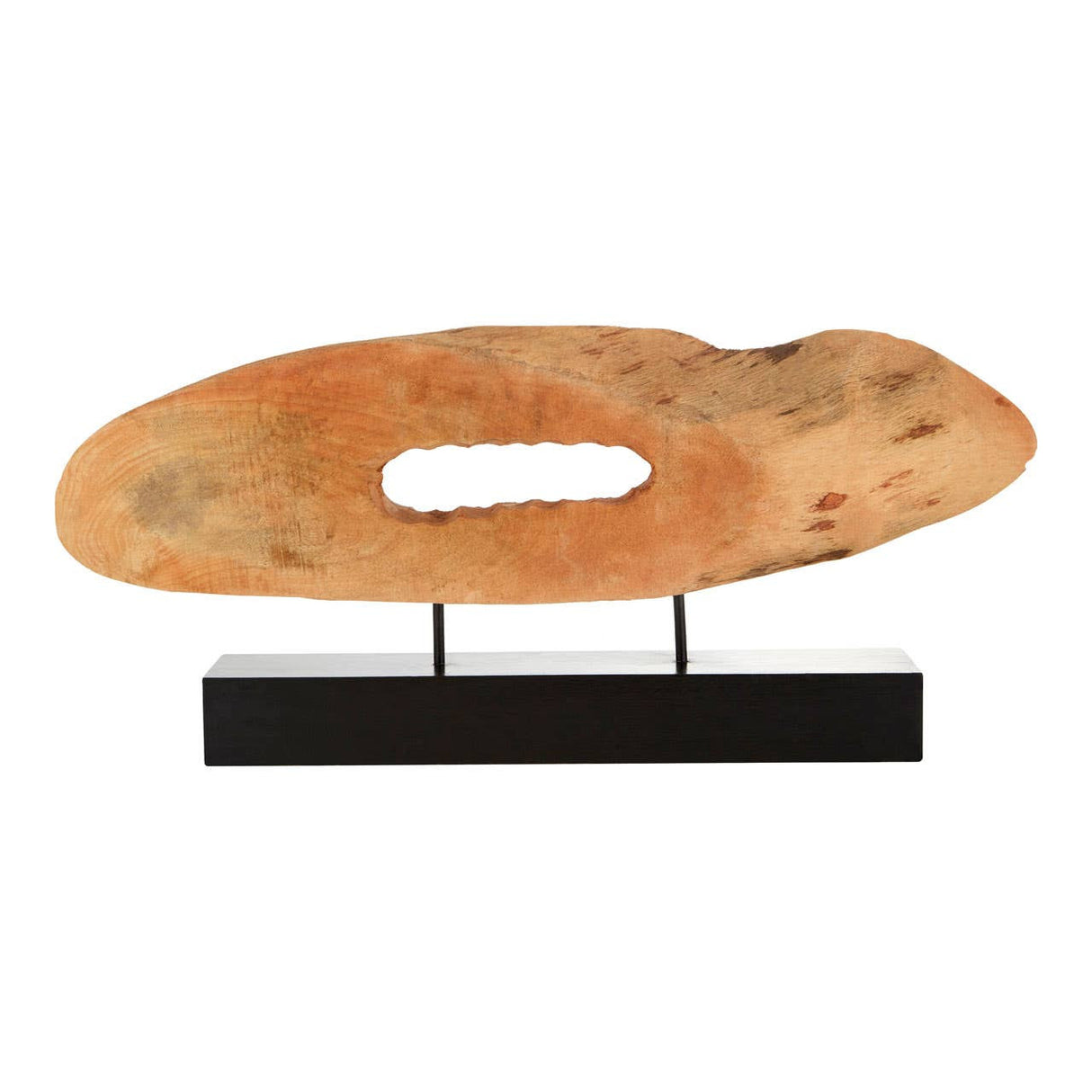 Fidel Natural Mango Wood Slice Sculpture