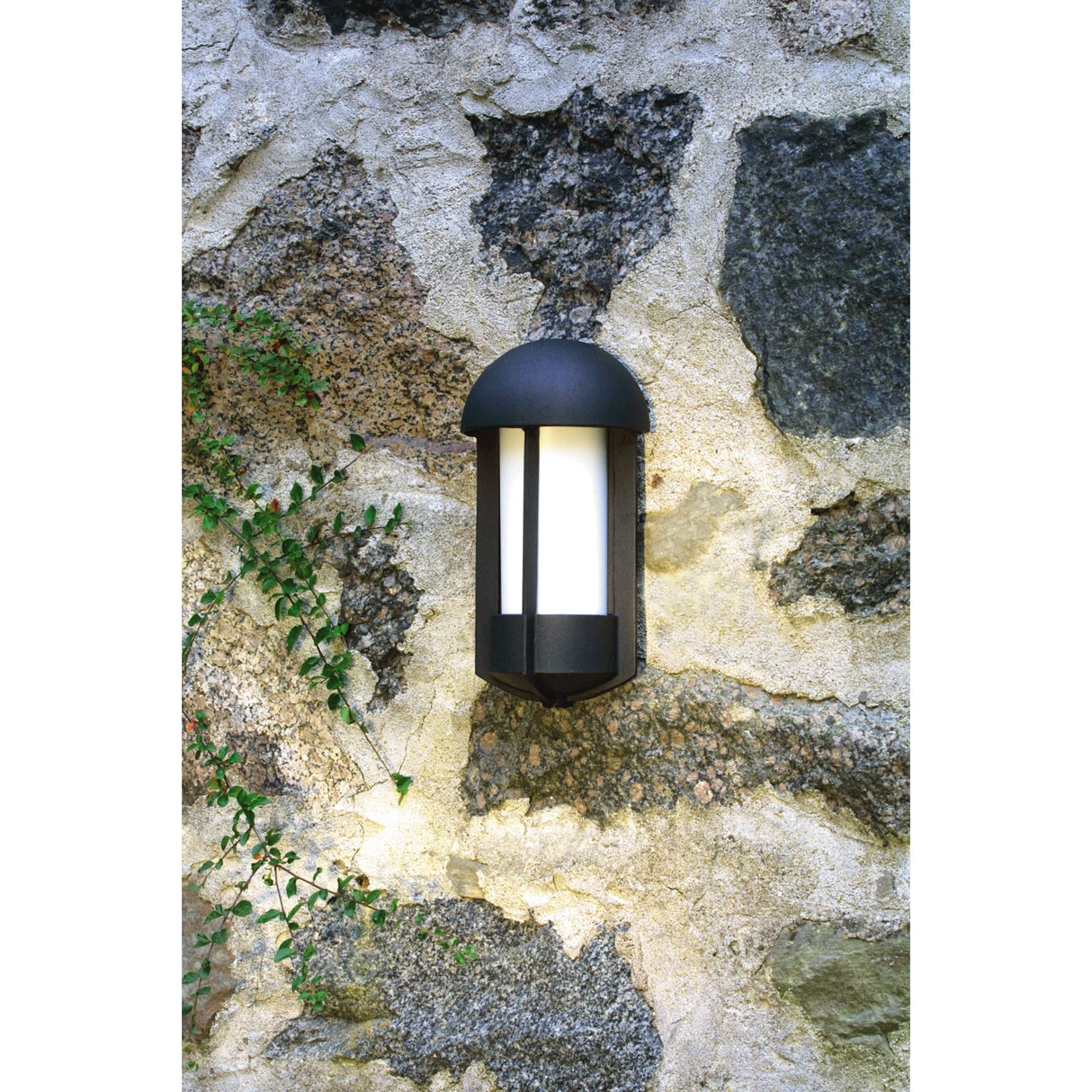 Tyr Matte Black Elegant Wall Sconce
