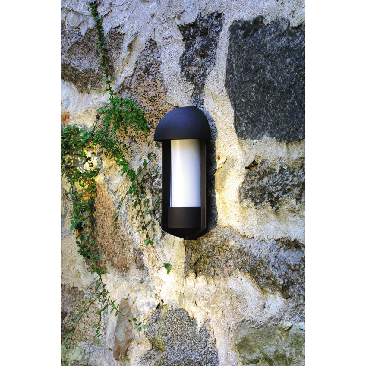 Tyr Matte Black Elegant Wall Sconce