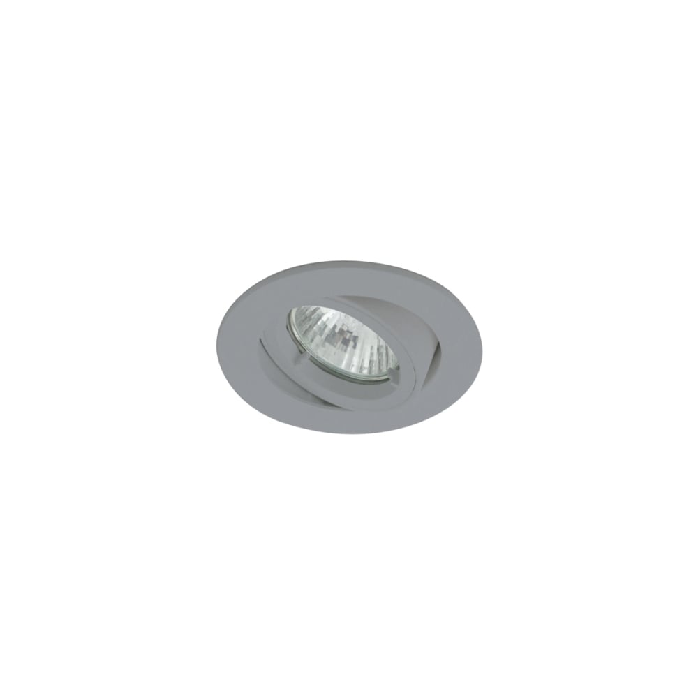 Ansell Silver Grey Twistlock Outdoor Soffit Downlight with Durable DuPont Finish