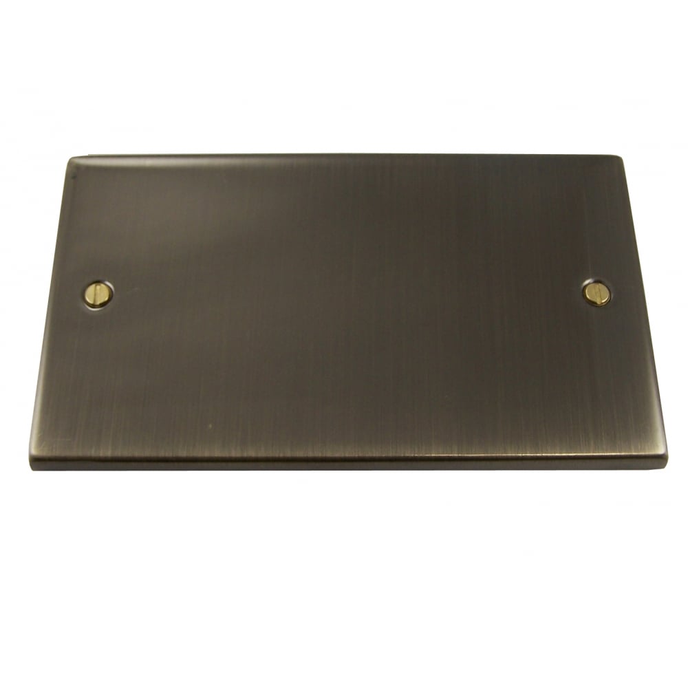 Elegant Antique Brass Double Gang Blank Plate - Causeway Series