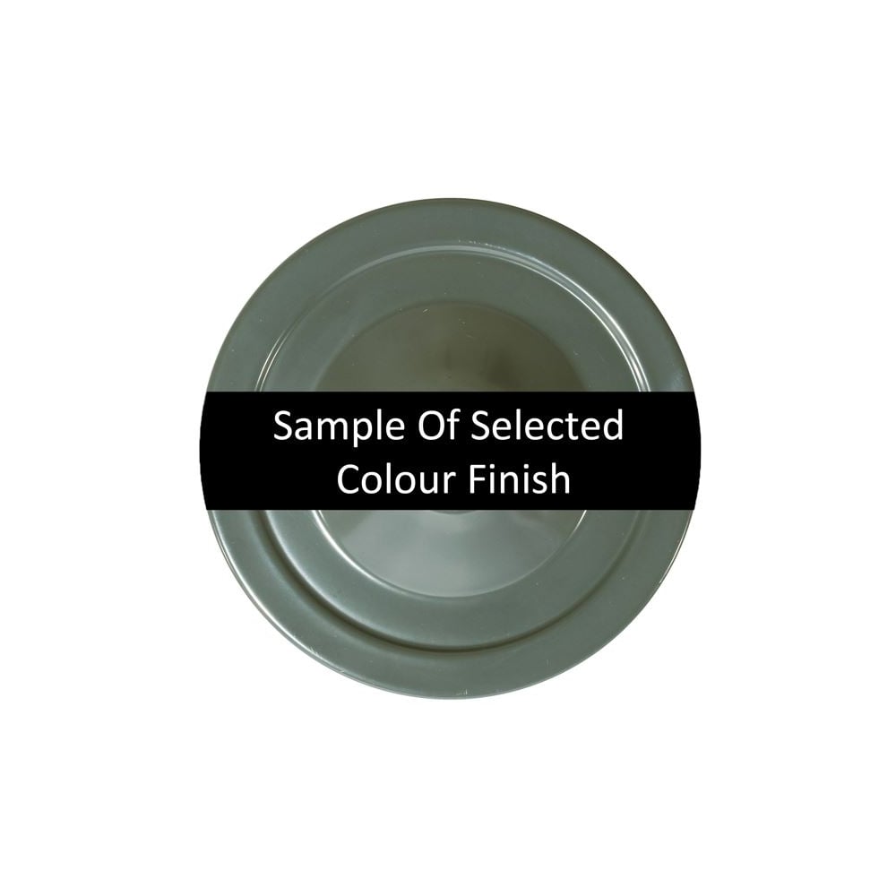 Sage Green Industrial Cage Ceiling Light with Chrome Lampholder