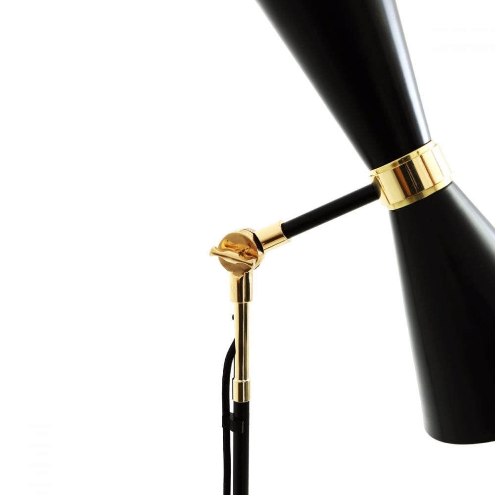Cairo Floor Lamp in Polished Brass and Matte Black Finish