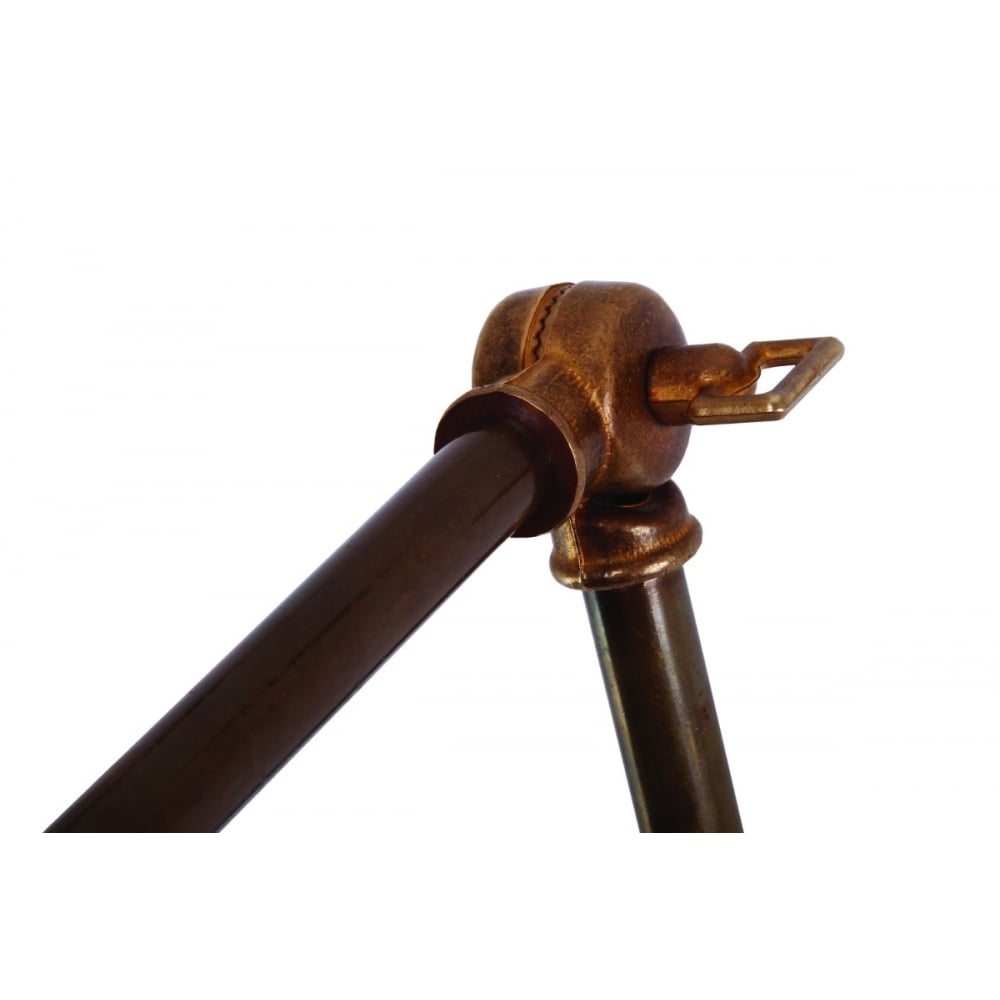 Nico Adjustable Picture Light in Antique and Polished Brass