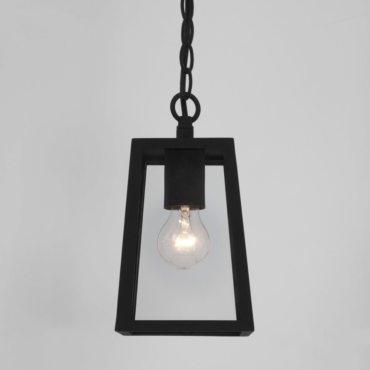 Contemporary Black Calvi Outdoor Pendant Light