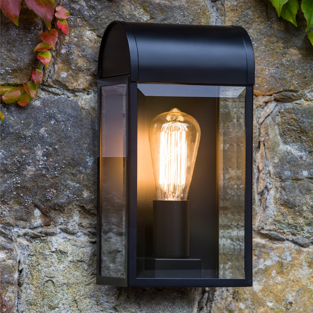 Newbury Elegant Black and Glass Outdoor Wall Lantern
