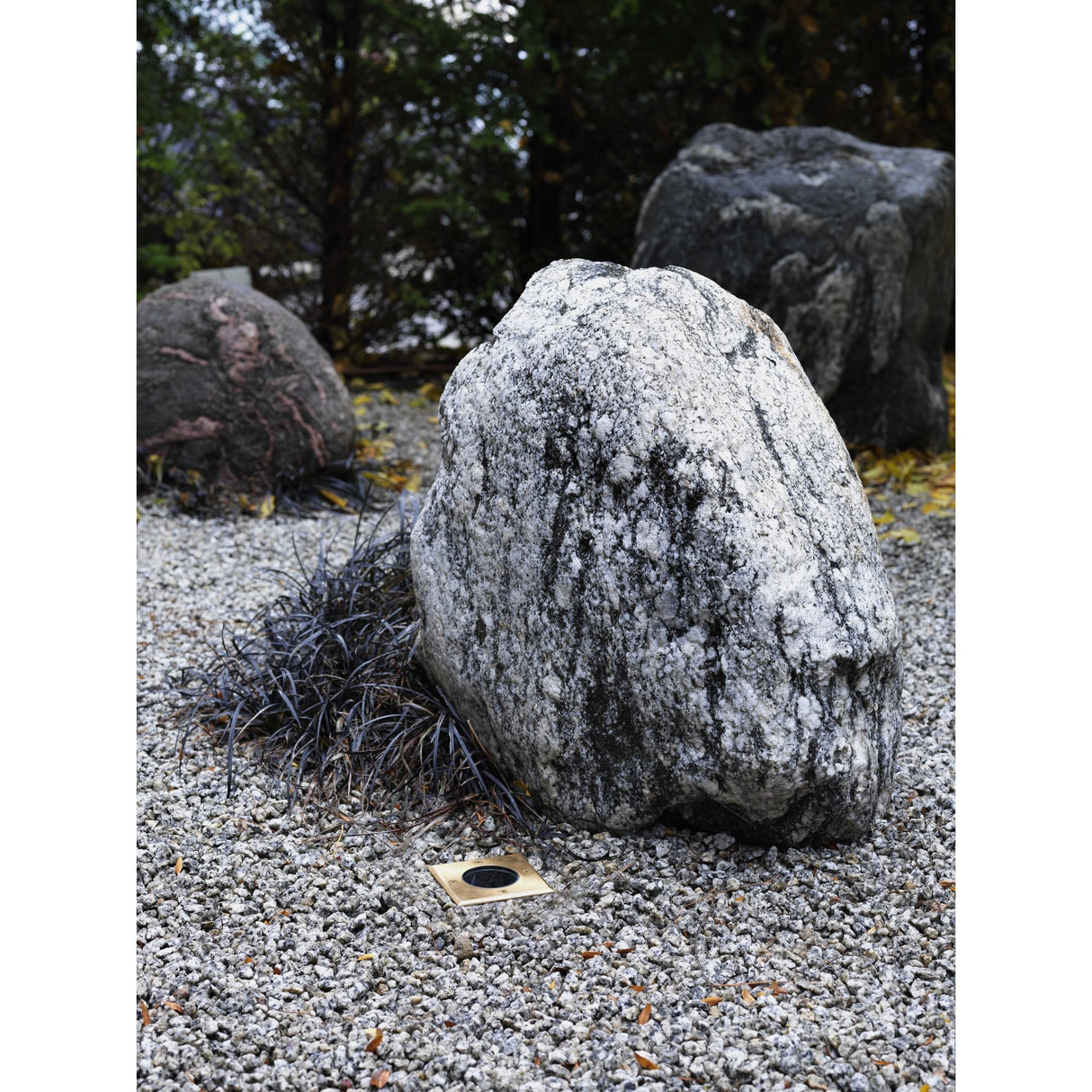 Enna Black LED Wall-Mounted Reading Light 3W