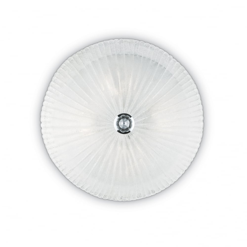 Shell 6-Light Transparent Surface Spotlight