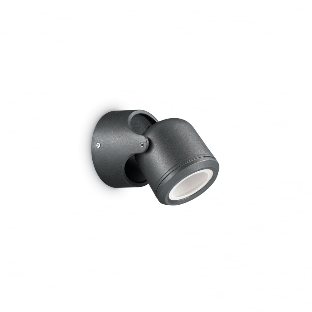Zeno Adjustable Black Spotlight Wall Light