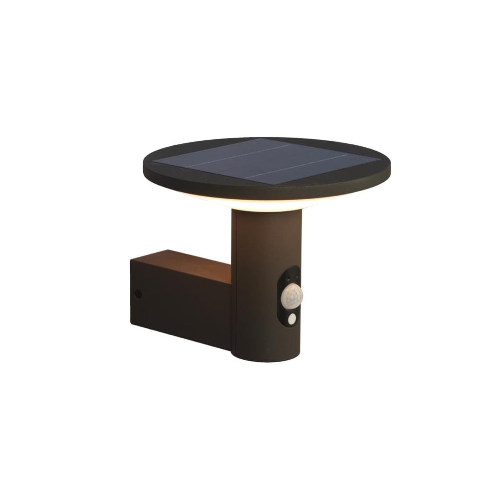 Talana 4000K Graphite LED Solar Wall Light with Motion Sensor