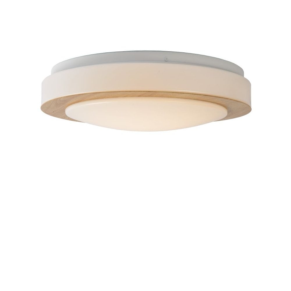 Sleek Steel and Light Wood Opal Ceiling Light Fixture