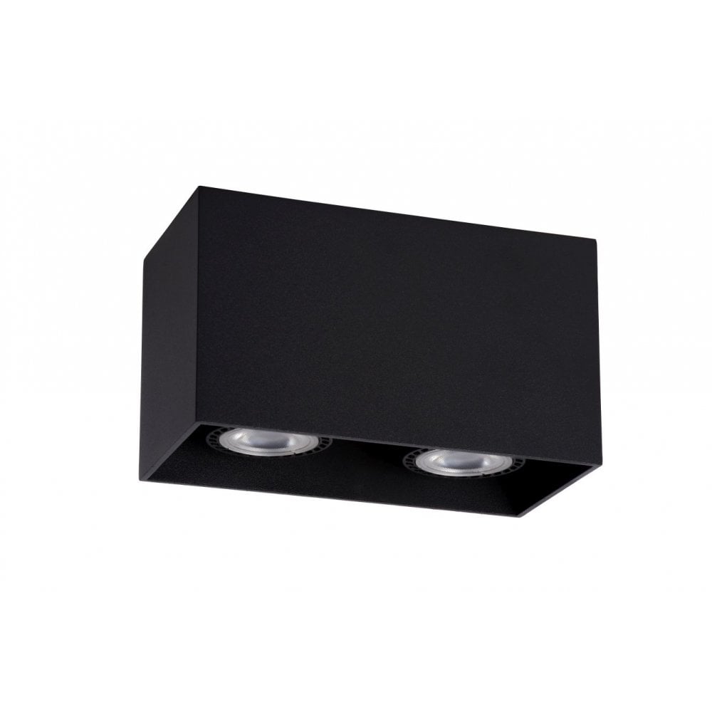 Contemporary Black Aluminum Dual Bulb Ceiling Spotlight Fixture