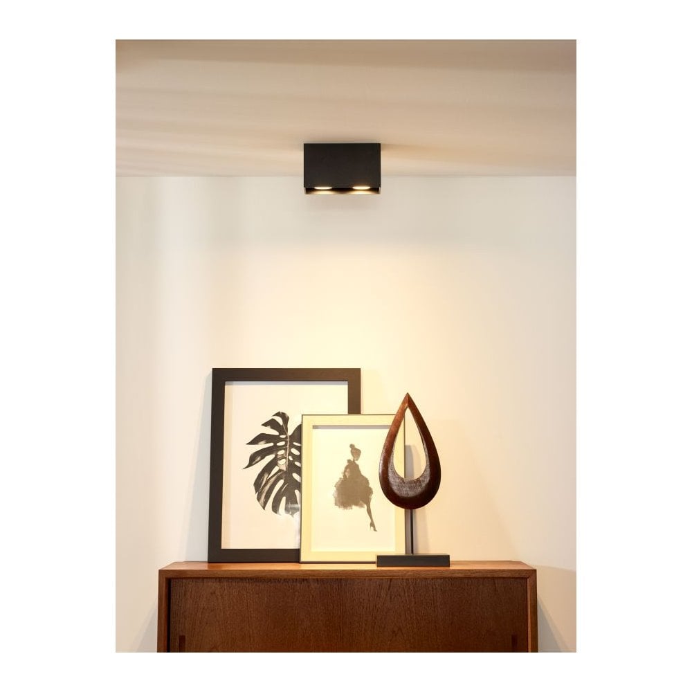 Contemporary Black Aluminum Dual Bulb Ceiling Spotlight Fixture