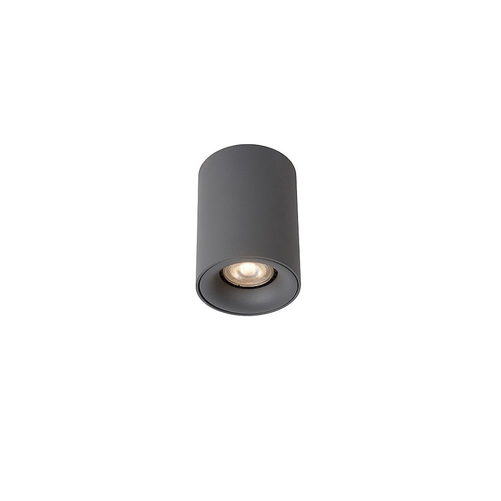 Contemporary Grey Cylinder Ceiling Spotlight with LED Bulb