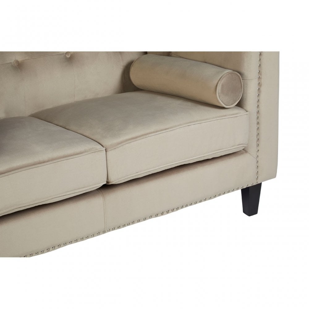 Flick 2 Seat Mink Velvet Sofa, Eucalyptus Wood, Wood, Cream