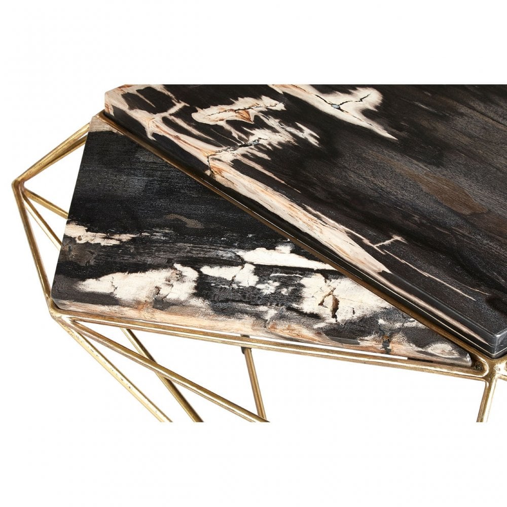 Artefacto Dark Petrified Wood Coffee Table, Iron, Petrified Wood, Brass