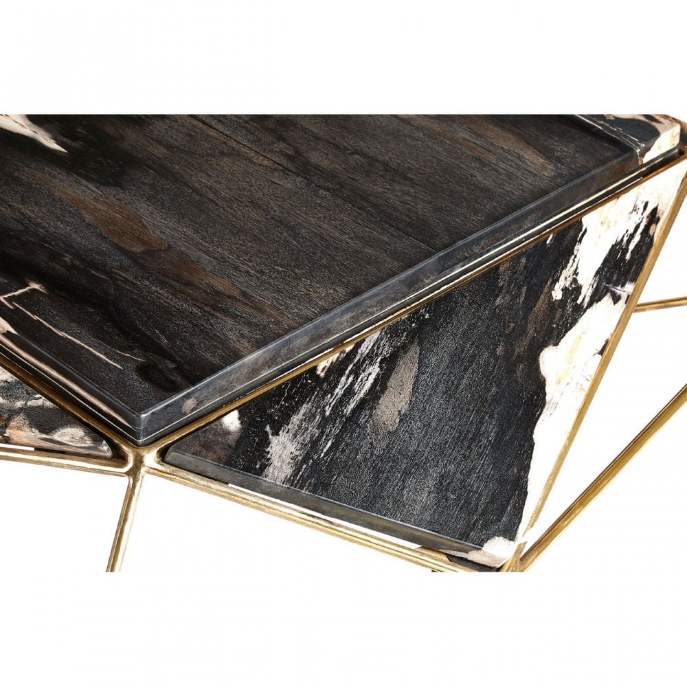 Artefacto Dark Petrified Wood Coffee Table, Iron, Petrified Wood, Brass