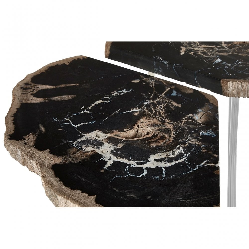 Artefacto Light Petrified Wood Coffee Table, Petrified Wood, Stainless Steel