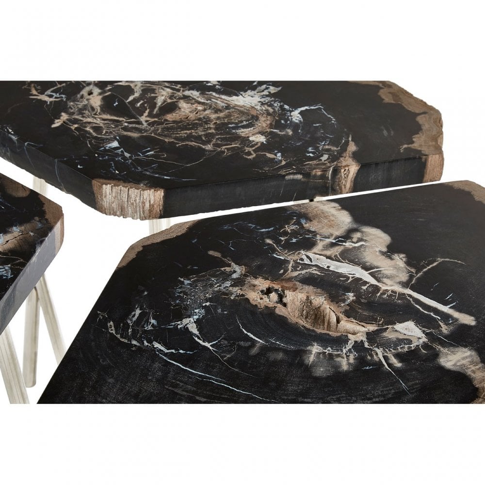 Artefacto Light Petrified Wood Coffee Table, Petrified Wood, Stainless Steel
