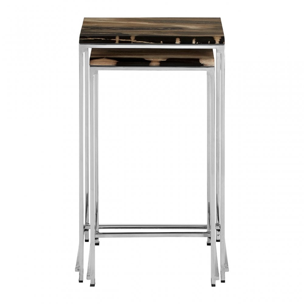 Artefacto Nest of 2 Petrified Wood Side Tables, Petrified Wood, Stainless Steel, Silver