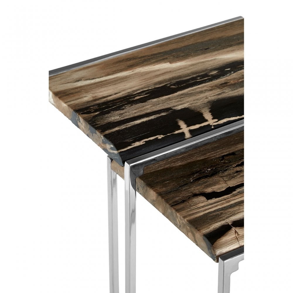 Artefacto Nest of 2 Petrified Wood Side Tables, Petrified Wood, Stainless Steel, Silver