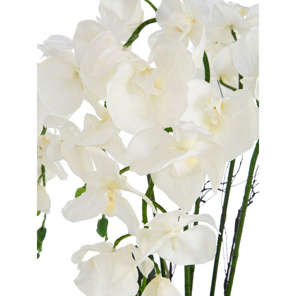 White Orchid Plant Natural Ceramic Pot, White