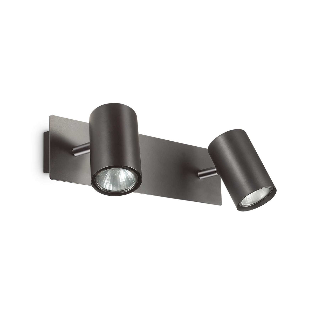 Dual Bulb Black Wall Sconce