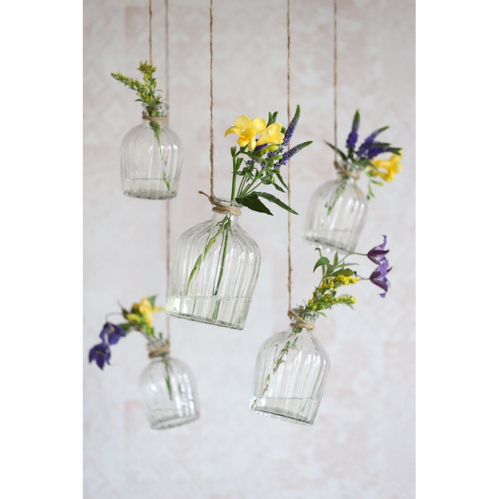 Elegant 11x16cm Clear Glass Pargi Bottle