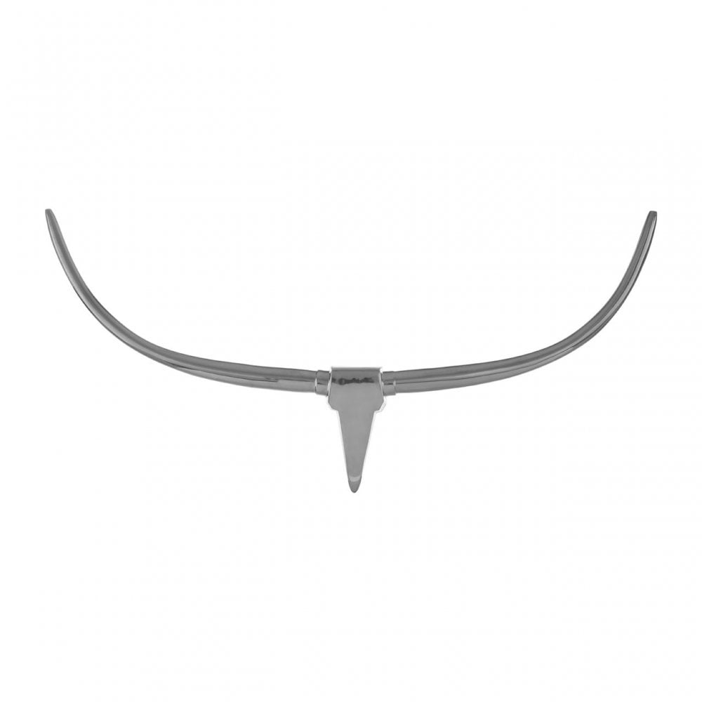 Minimal Wall Mounted Skull Silver