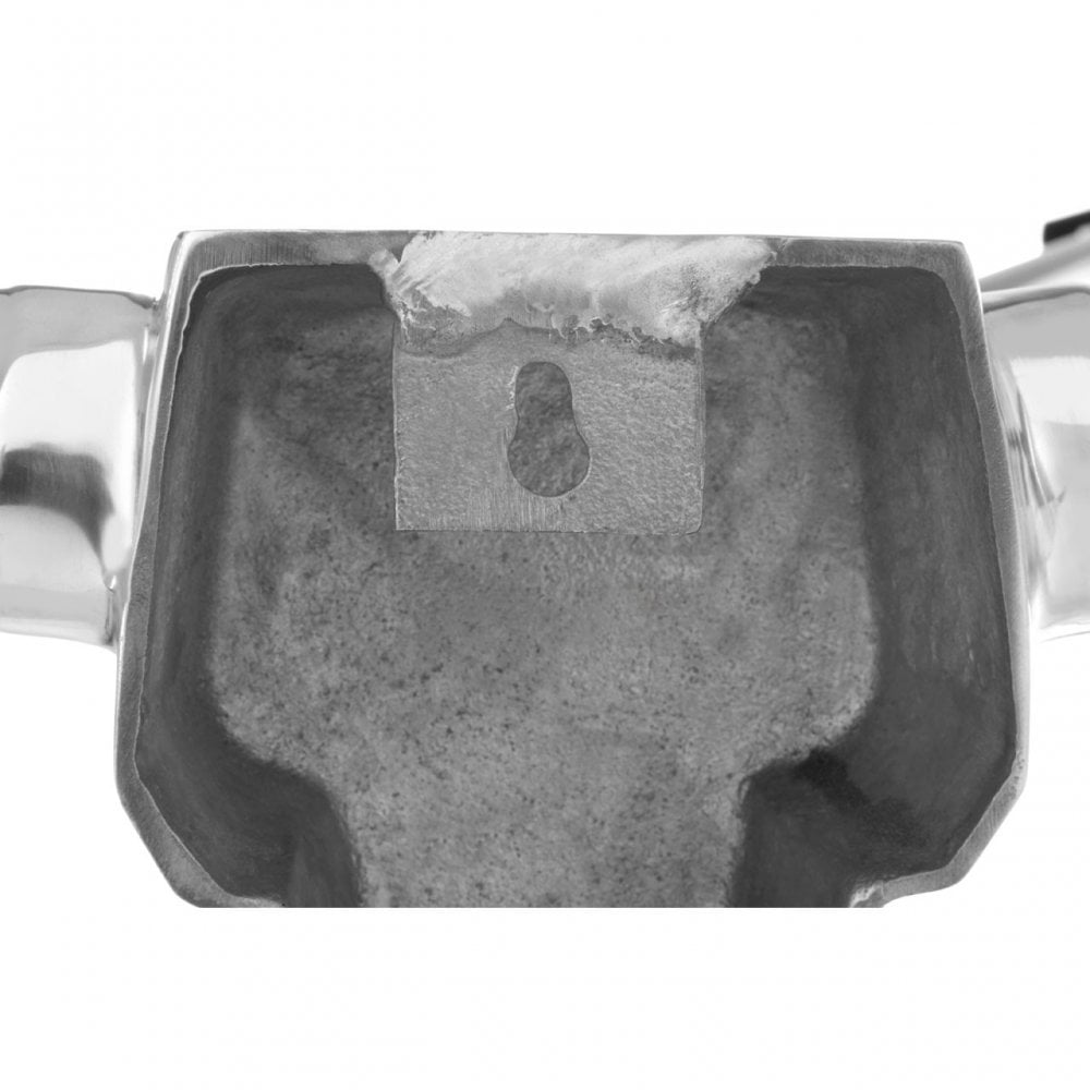 Minimal Wall Mounted Skull Silver