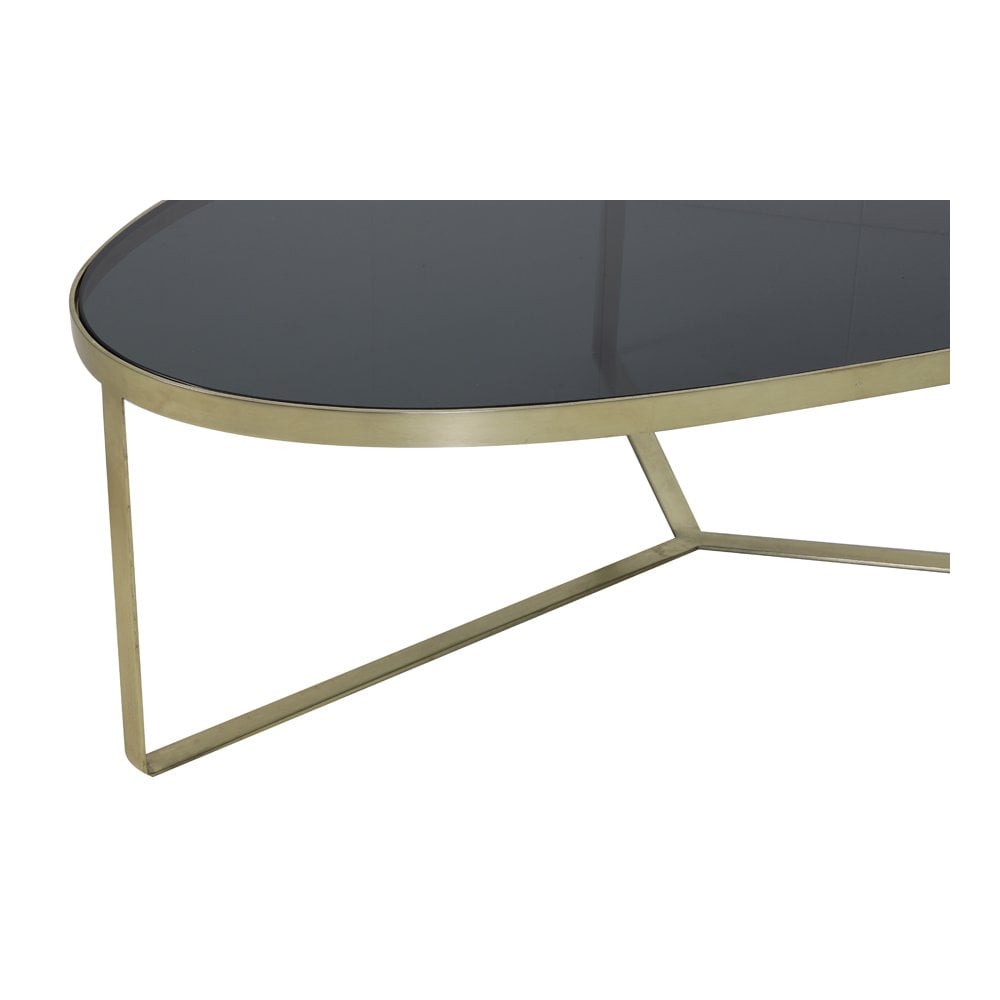 Elegant Glass and Brass Coffee Table - 118x89x40 cm