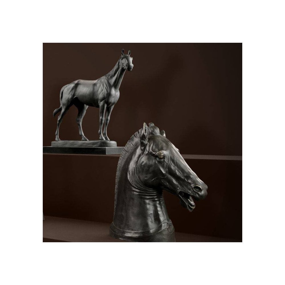 Majestic Rodondo Horse Sculpture in Antique Bronze with Granite Base