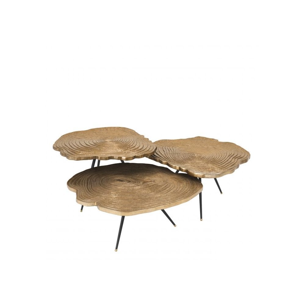 Quercus Trio Coffee Tables Set with Brass-Toned Wood Tops and Black Legs