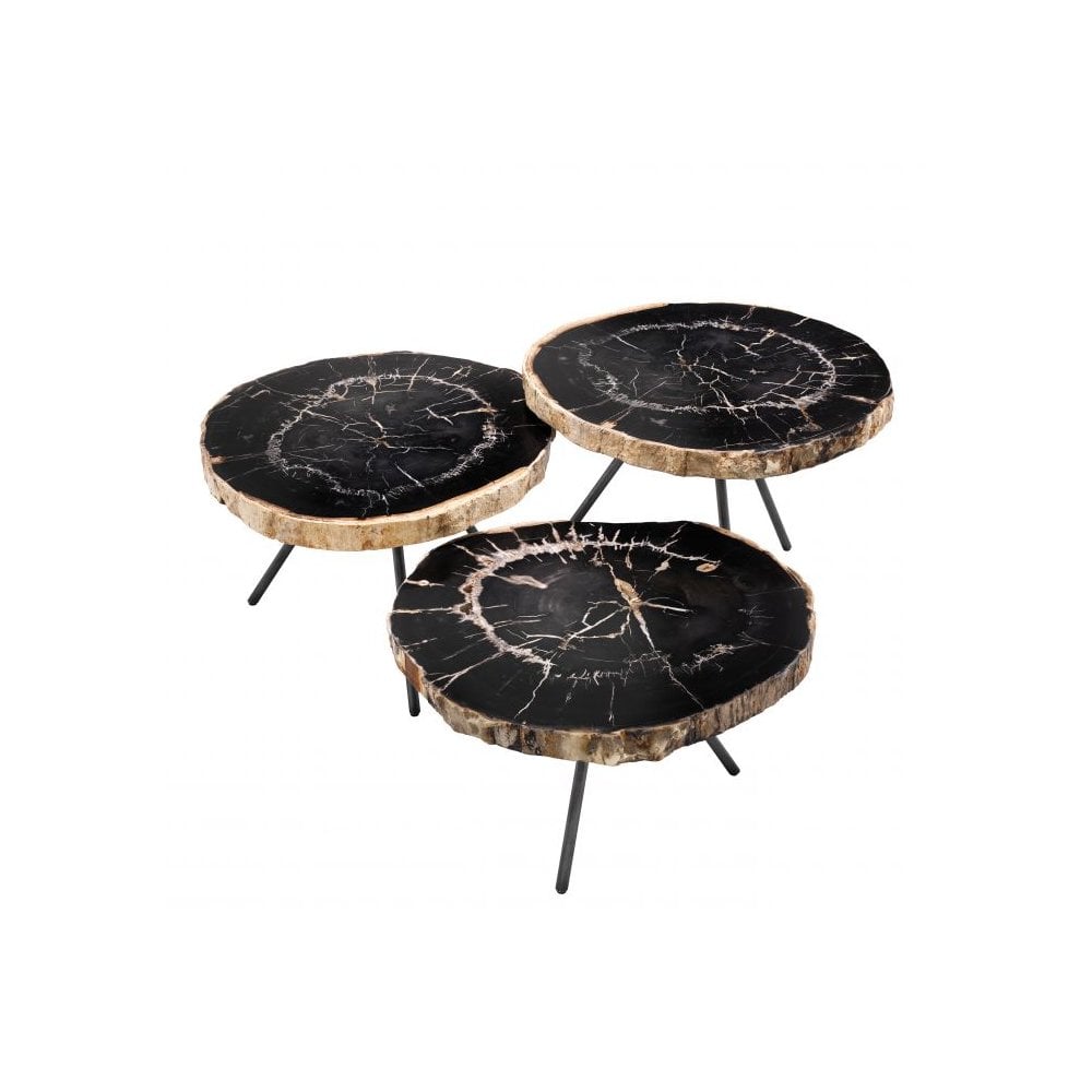De Soto Trio Coffee Tables: Dark Petrified Wood with Black Bronze-Legged Elegance