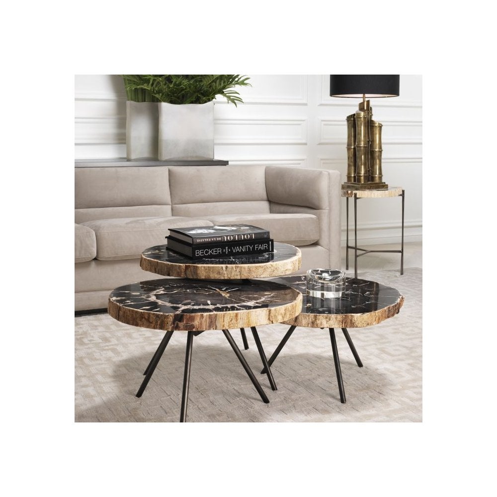 De Soto Trio Coffee Tables: Dark Petrified Wood with Black Bronze-Legged Elegance