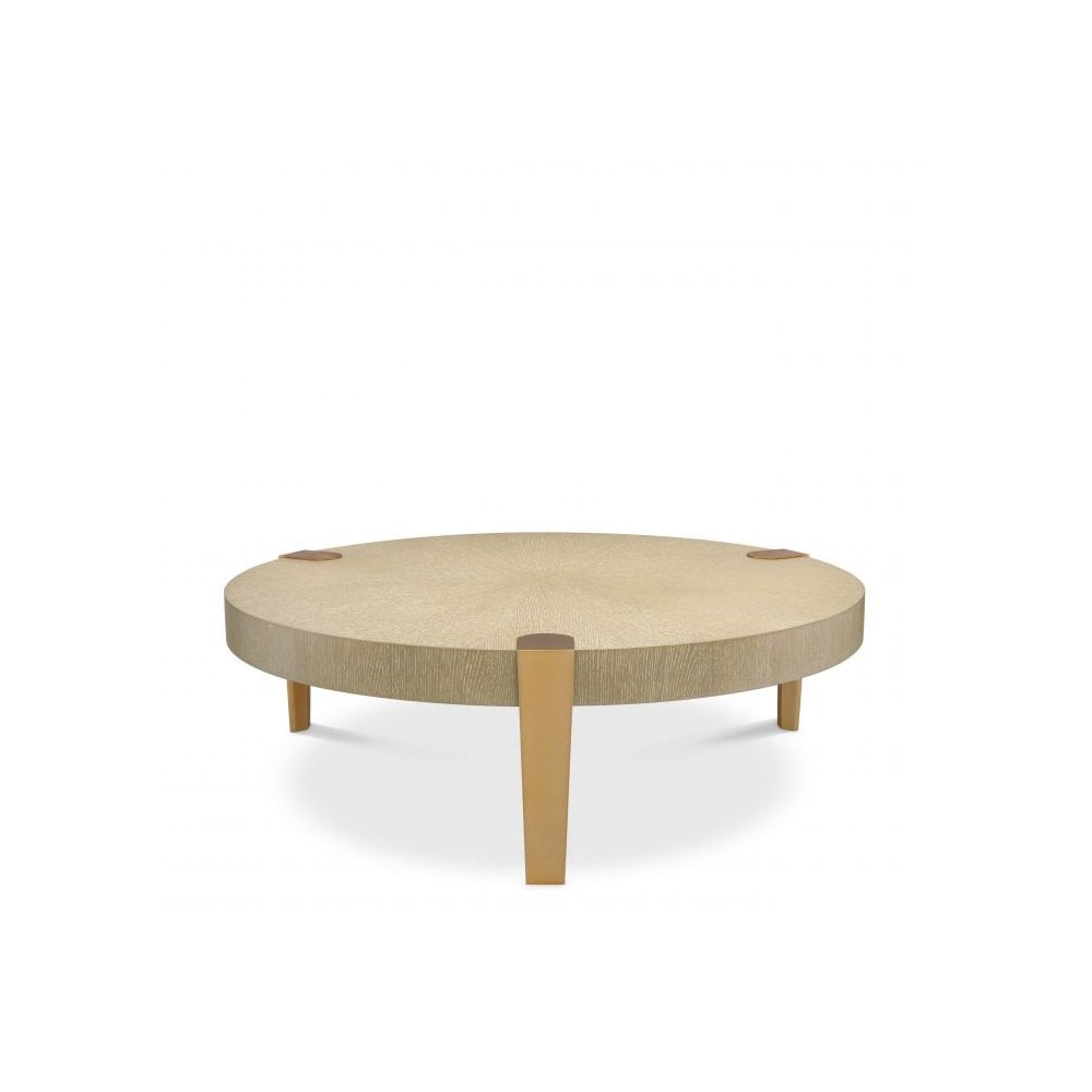 Modern Oxnard Coffee Table with Washed Oak and Brass Accents