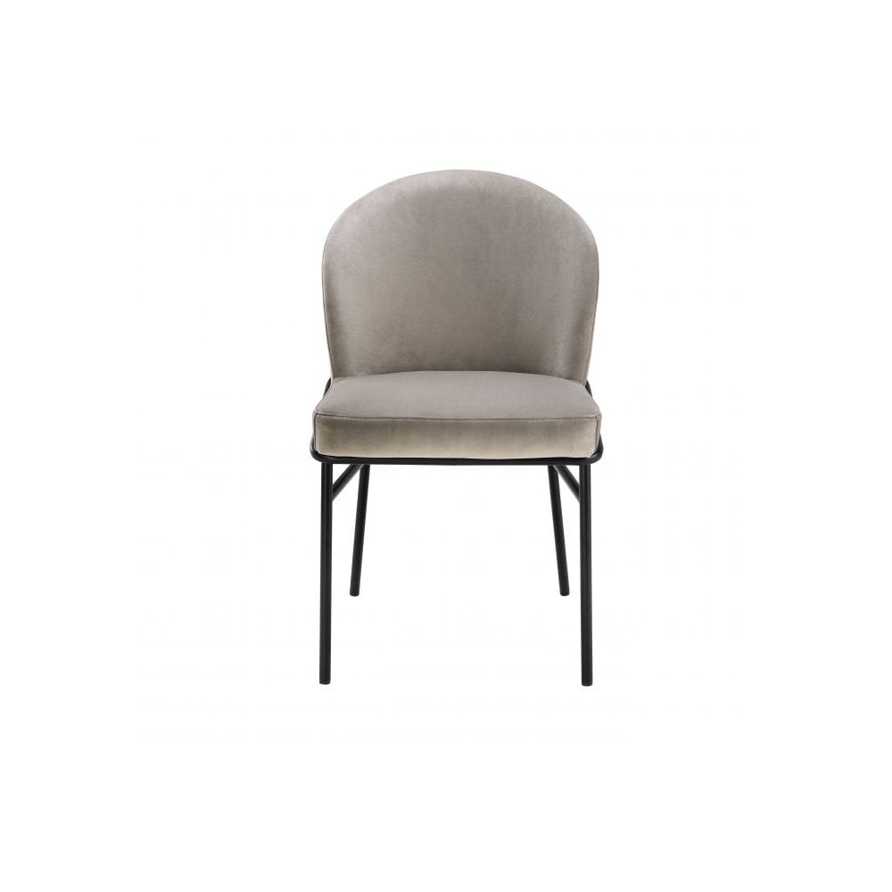Willis Dining Chair Duo, Savona Greige Velvet with Sleek Black Legs