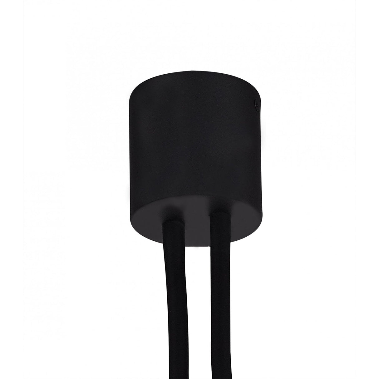 Sleek Adjustable Dual-Light Ceiling Fixture in Satin Black and Brushed Copper