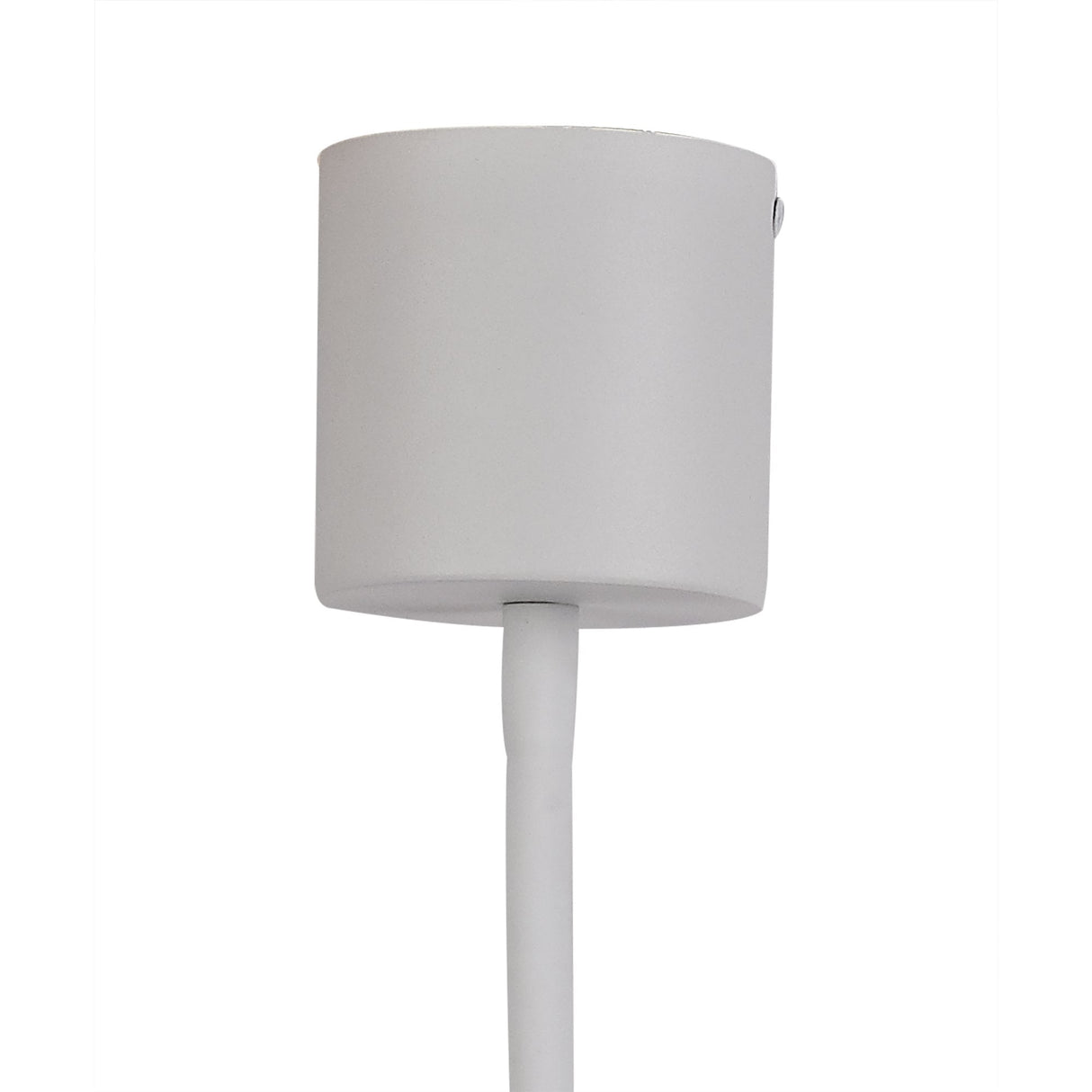 Adjustable Satin White/Satin Nickel Ceiling Light with E27 Fitting