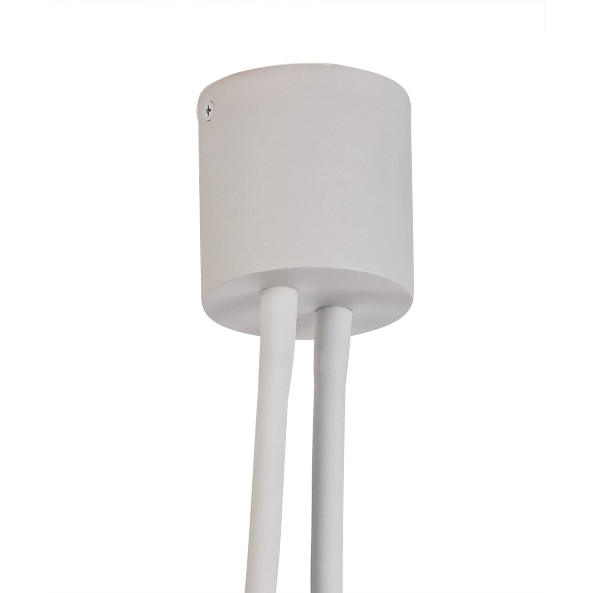 Satin White and Nickel Adjustable Ceiling Light Fixture