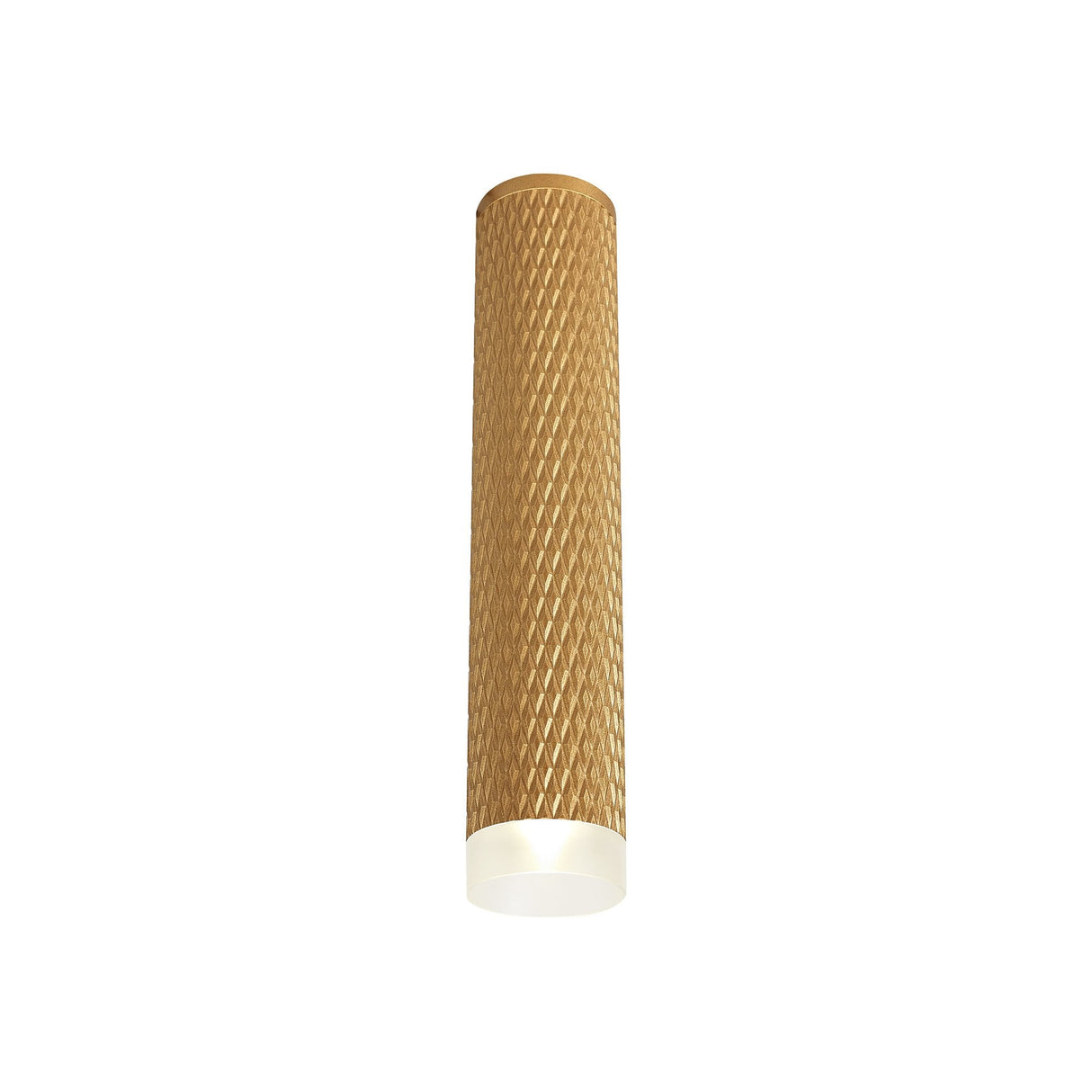 Elegant 30cm Champagne Gold Ceiling Light with Acrylic Ring Accent