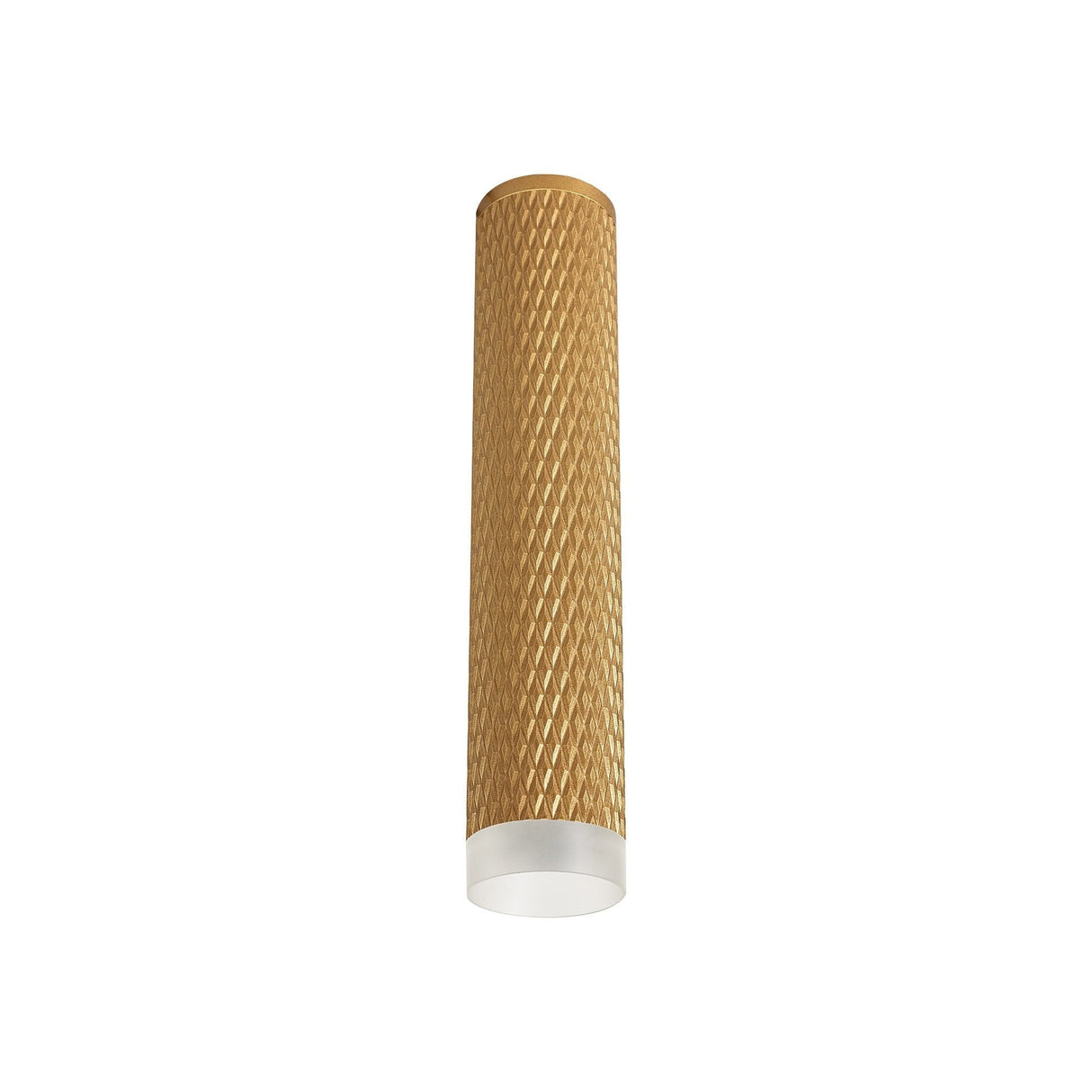 Elegant 30cm Champagne Gold Ceiling Light with Acrylic Ring Accent
