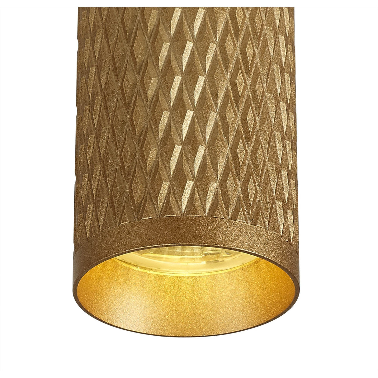 Champagne Gold Acrylic Ring 20cm Pendant Light with Adjustable Drop